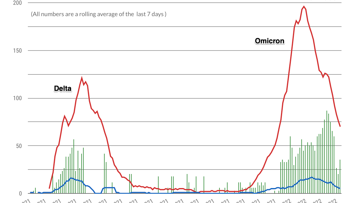 WeHealth Bermuda real-time dashboard showing Delta & Omicron outbreaks